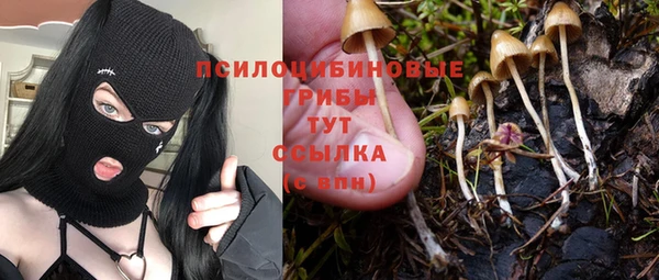 герыч Магас