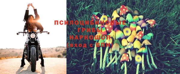 герыч Магас