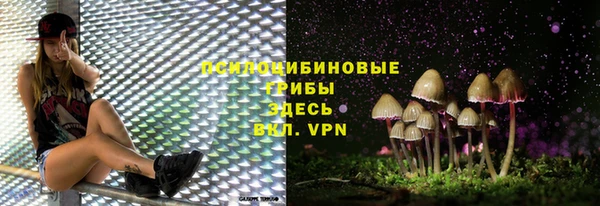 a pvp Майский