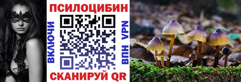 нарко площадка наркотические препараты  Николаевск-на-Амуре  Псилоцибиновые грибы MAGIC MUSHROOMS  KRAKEN ССЫЛКА 
